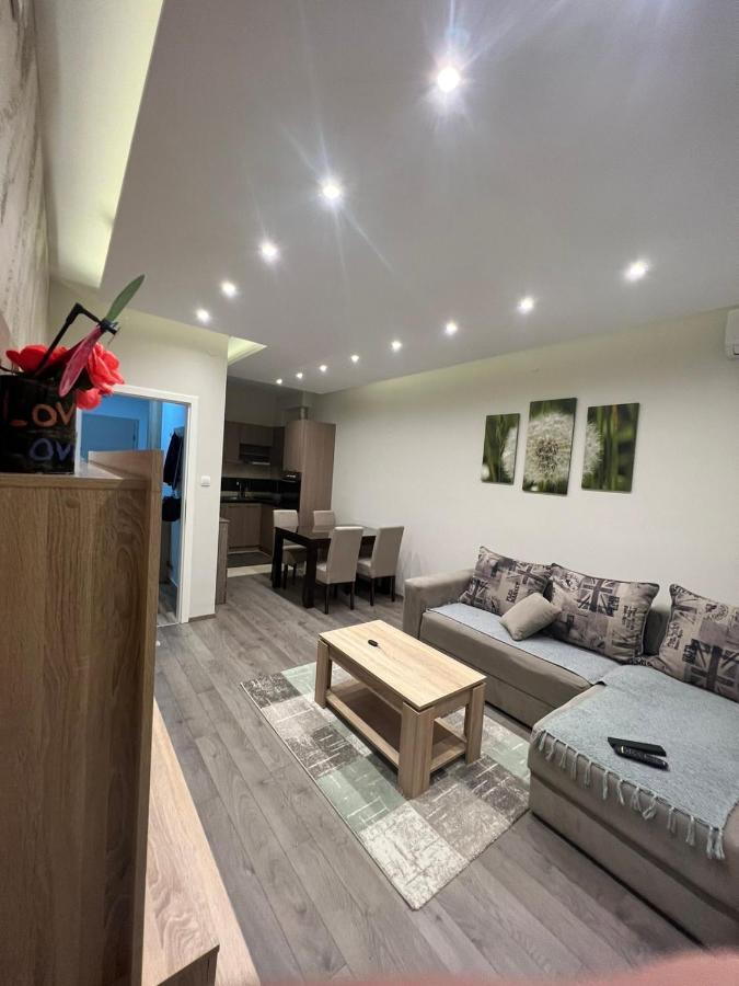 Apartment Dana Banja Koviljača Kültér fotó