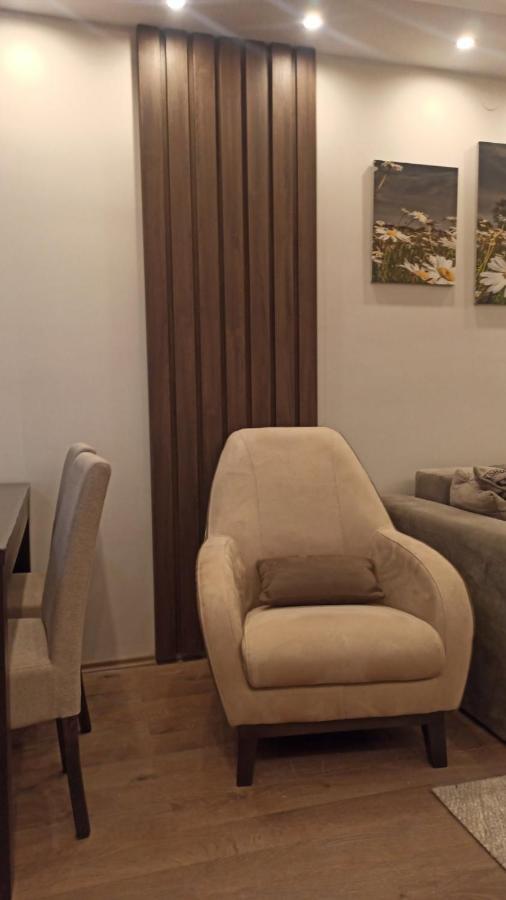 Apartment Dana Banja Koviljača Kültér fotó